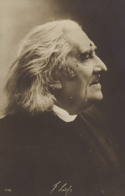 Porträt von Franz Liszt von European Photographer